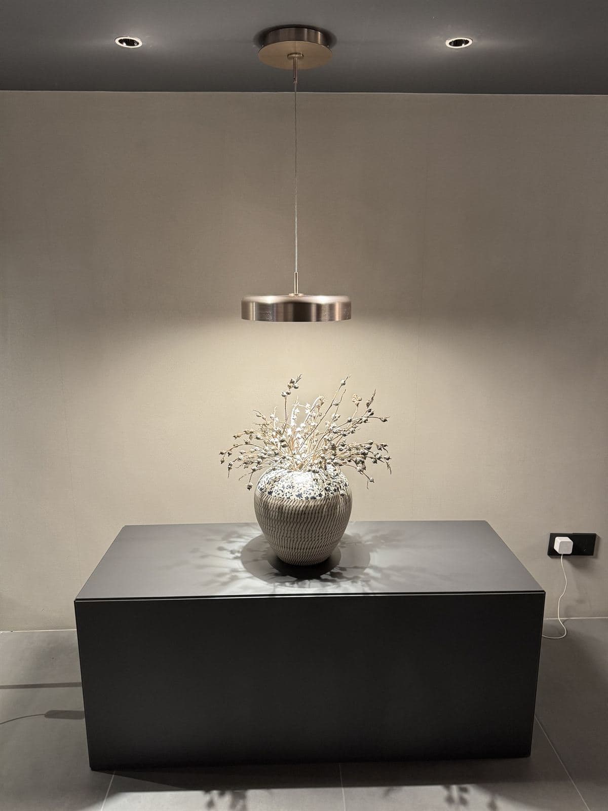 A single brushed-metal GUOCIO disc pendant hangs over a black console with a sculptural flowering branch arrangement