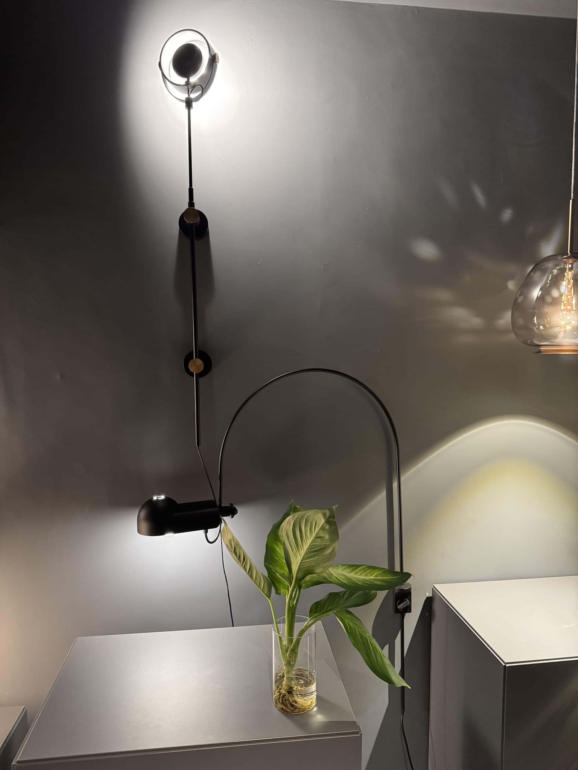 A modern black wall-mounted light fixture with a circular head and a separate spotlight illuminates a plant in a glass vase on a grey surface.