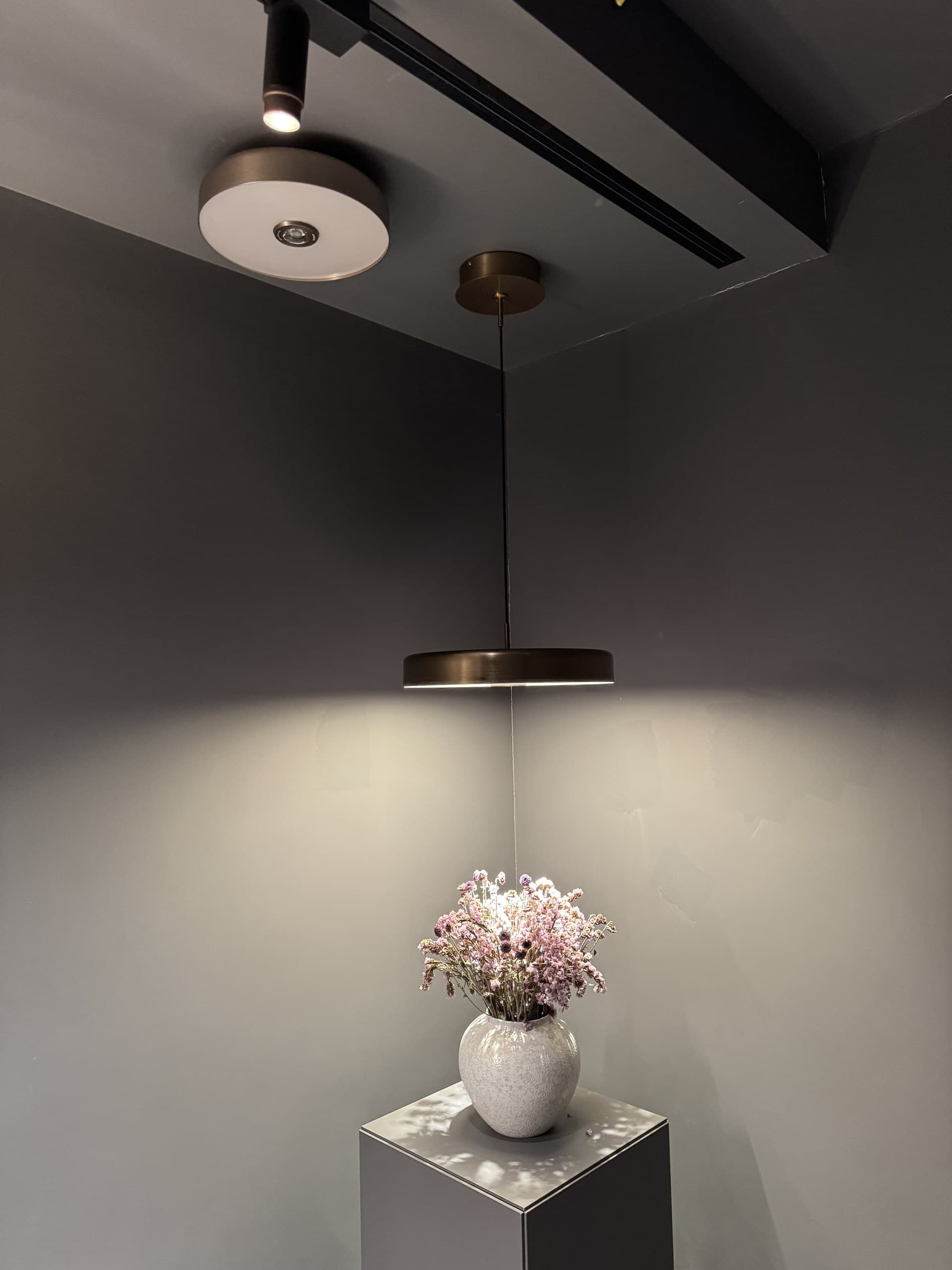 A modern pendant light illuminates a vase of dried flowers on a pedestal in a room with track lighting.